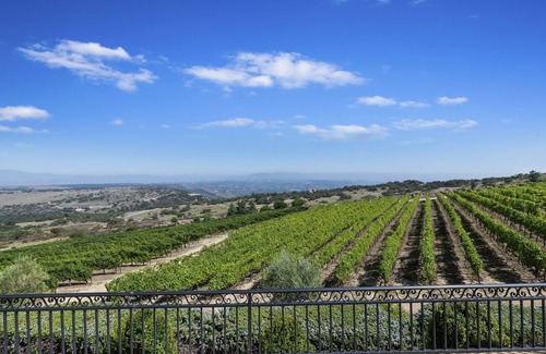 Murrieta Villa | Temecula Valley Wine Country Area - European Villa on 20 Acre Vineyard
