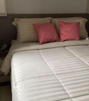 Parintins House | Temporada Bovina