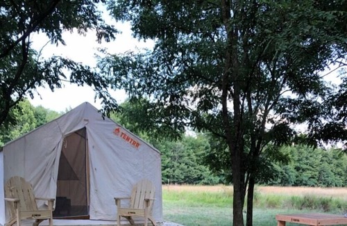 New Plymouth RV Rental | Tentrr Signature Site - Starry Nights