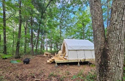 Deer Lodge RV Rental | Tentrr Signature Site - Reflection Tree Art Farm Forest site