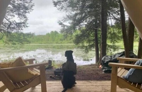 Guys Mills RV Rental | Tentrr Signature Site - Beavers Landing