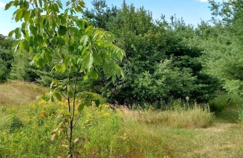 Sunday River Area RV Rental | Tentrr Signature Site - Intervale Oasis on the Androscoggin River