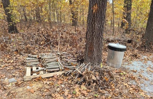 Maysville RV Rental | Tentrr Signature Site - Leaning Tree Woods
