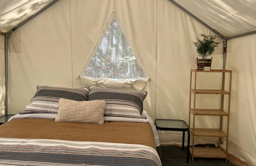 Pickens RV Rental | Tentrr Signature Site - Mountain Memories Retreat - Papa Bear Site