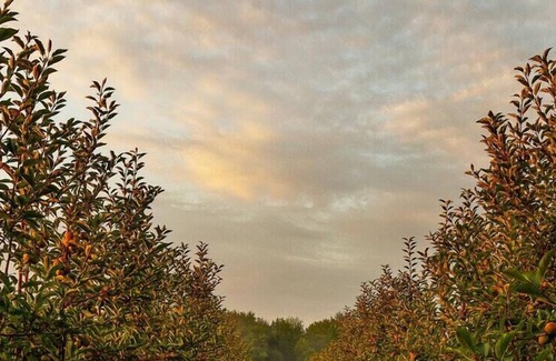 Ithaca RV Rental | Tentrr Signature Site - Orchard and Gorge Tent at South Hill Cider - Site #1