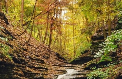Ithaca RV Rental | Tentrr Signature Site - Orchard and Gorge Tent at South Hill Cider - Site #2
