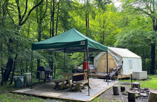 Fishs Eddy RV Rental | Tentrr Signature Site - Paradise Falls - Coleman Outfitted Site