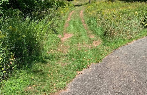 Windham RV Rental | Tentrr Signature Site - Pleasant Valley Maplecroft Camp