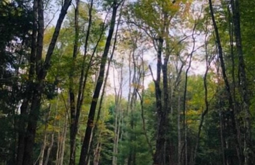 Kauneonga Lake RV Rental | Tentrr Signature Site - Purple Haze at the Tentrr Catskill Retreat - Single Camp