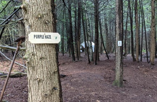 Kauneonga Lake Other | Tentrr Signature Site - Purple Haze at the Tentrr Catskill Retreat - Single Camp