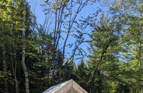 Chatham RV Rental | Tentrr Signature Site - Sunnyside @butterhillhdeaway