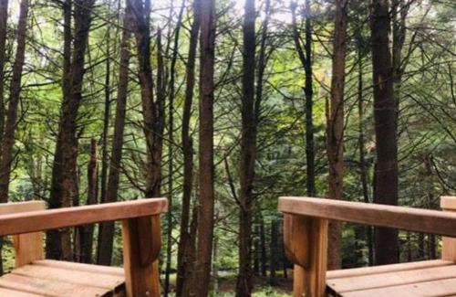 Kauneonga Lake Other | Tentrr Signature Site-Say Hello 2 Heaven at Tentrr Catskill Retreat-Single Camp