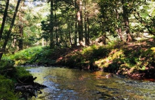 Kauneonga Lake Other | Tentrr Signature Site-Say Hello 2 Heaven at Tentrr Catskill Retreat-Single Camp