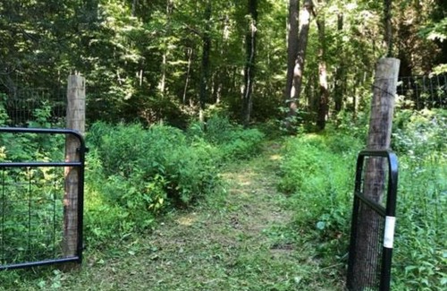 Swannanoa Other | Tentrr Signature Site - Summer Haven Campsite #2