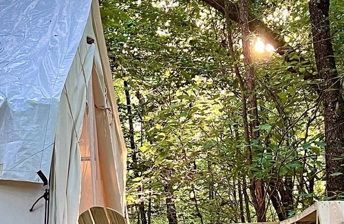 Central RV Rental | Tentrr Signature Site - Tentrr @ Clemson Experimental Forest