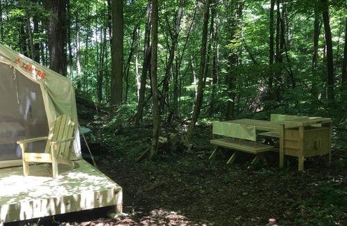 Canaan RV Rental | Tentrr Signature Site - The Lodge's Campsite