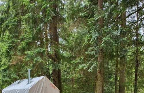 Arlington RV Rental | Tentrr Signature Site - Fern Gully Site 1