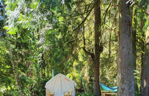 Arlington RV Rental | Tentrr Signature Site - Fern Gully Site 1