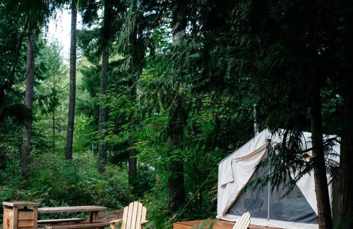 Carnation RV Rental | Tentrr Signature Site - Cascade Rose Alpaca Farm Stay