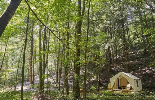 Delancey RV Rental | Tentrr Signature Site - Huntley Hollow Brook