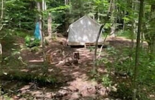 Fletcher RV Rental | Tentrr Signature Site - Kindred Brookside Camp