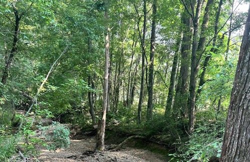 Florence RV Rental | Tentrr Signature Site - Stargazing at Hidden Creek