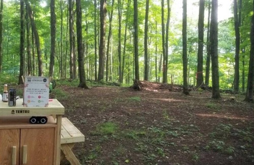 Hartwick RV Rental | Tentrr Signature Site - Briar Hill Respite