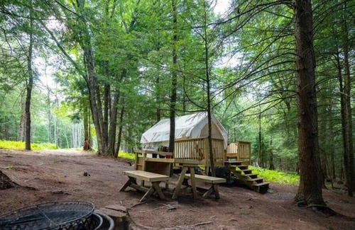 Kauneonga Lake RV Rental | Tentrr Signature Site - Come As You Are at the Tentrr Catskill Retreat - Stream