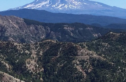 Washougal RV Rental | Tentrr Signature Site - Babbling Creek "Glamp"site at Cuzicanland - Coleman Cook