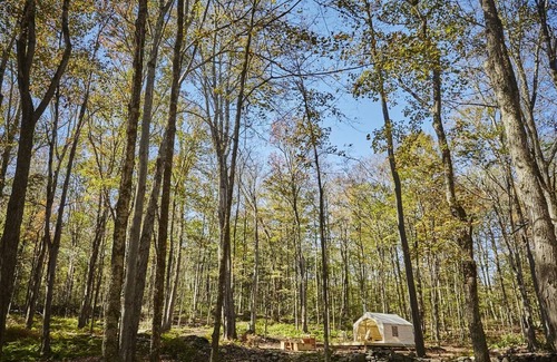 Mongaup Valley RV Rental | Tentrr Signature Site - Swinging Bridge Sanctuary
