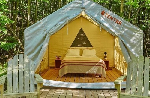 Talisheek RV Rental | Tentrr State Park Site - Louisiana Bogue Chitto State Park - Riverview E - Singl