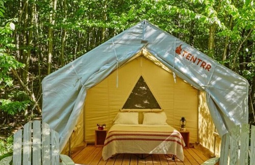 Talisheek RV Rental | Tentrr State Park Site - Louisiana Bogue Chitto State Park - Bike Trail C - Sing