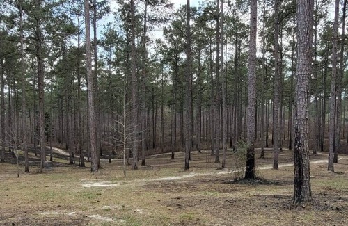 Talisheek RV Rental | Tentrr State Park Site - Louisiana Bogue Chitto State Park - Bike Trail C - Sing