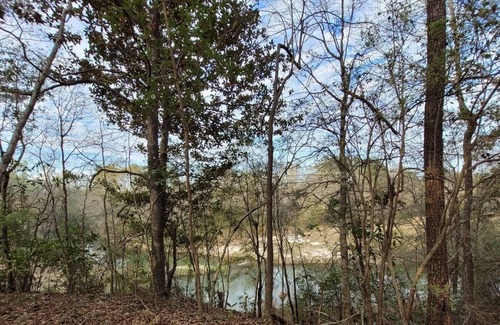 Talisheek RV Rental | Tentrr State Park Site - Louisiana Bogue Chitto State Park - Upland Cliff H - Si