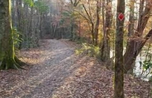 Talisheek RV Rental | Tentrr State Park Site - Louisiana Bogue Chitto State Park - Bike Trail K - Sing