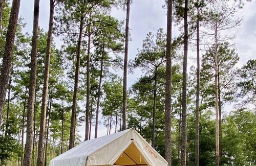 Talisheek RV Rental | Tentrr State Park Site - Louisiana Bogue Chitto State Park - Gorge Trail N - Sin