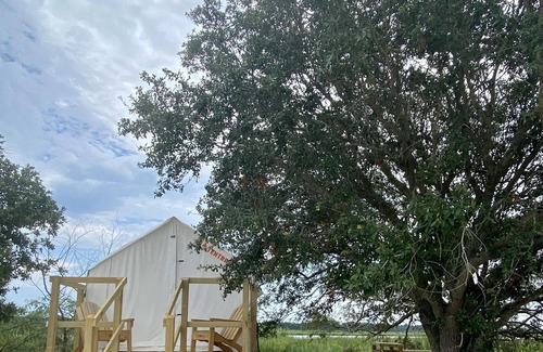 Mandeville RV Rental | Tentrr State Park Site - Louisiana Fontainebleau State Park - Paddle Out I - Sin