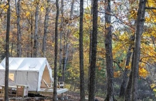 Dennis RV Rental | Tentrr State Park Site - Mississippi Tishomingo State Park - Haynes Lake South C