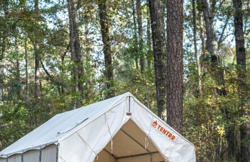 Morton RV Rental | Tentrr State Park Site - Mississippi Roosevelt State Park - Tall Trees A - Sing