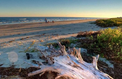 Galveston Other | Tentrr State Park Site - Texas Galveston Island- Beachside A- Single Camp