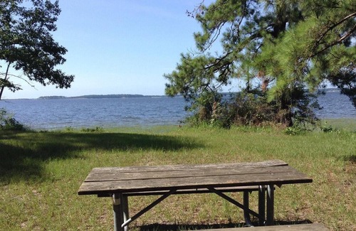 Anacoco RV Rental | Tentrr State Park Site - Louisiana South Toledo Bend State Park - Site E - Sing