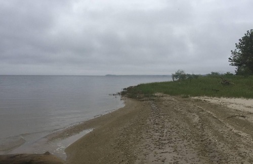 Anacoco RV Rental | Tentrr State Park Site - Louisiana South Toledo Bend State Park - Site E - Sing