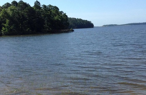 Anacoco RV Rental | Tentrr State Park Site - Louisiana South Toledo Bend State Park - Site E - Sing
