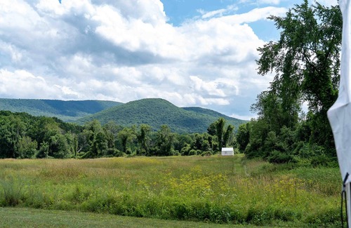 Copake Falls RV Rental | Tentrr State Park Site - NY Taconic State Park: Orphan Rd Site B