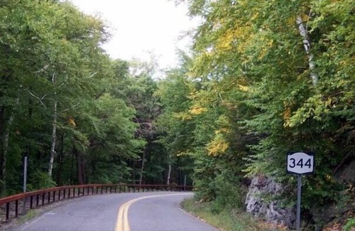 Copake Falls RV Rental | Tentrr State Park Site - NY Taconic State Park: Orphan Rd Site B
