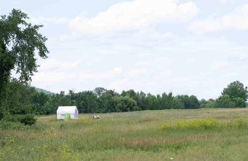 Copake Falls RV Rental | Tentrr State Park Site - NY Taconic State Park: Orphan Rd Site B