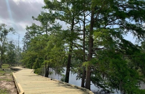 Lake Charles RV Rental | Tentrr State Park Site - Louisiana Sam Houston Jones State Park - Lagoon View C