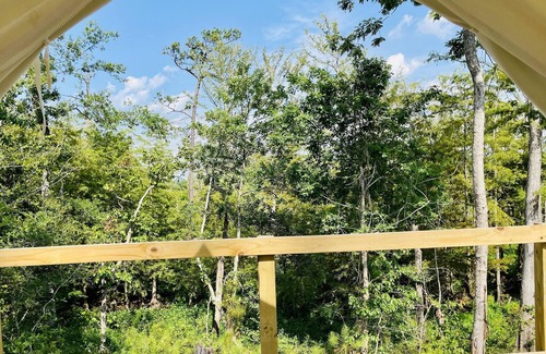 Lake Charles RV Rental | Tentrr State Park Site - Louisiana Sam Houston Jones State Park - Lagoon View D