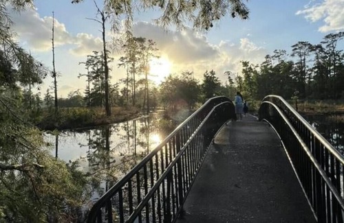 Lake Charles RV Rental | Tentrr State Park Site - Louisiana Sam Houston Jones State Park - Riverview H Si