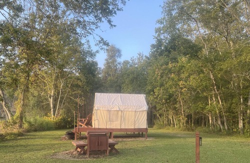 Iberia Parish RV Rental | Tentrr State Park Site - Louisiana Lake Fausse Pointe - Cypress Site A - Single
